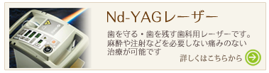 N-YAG[U[